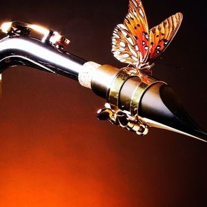 Meet your Posher, Ella